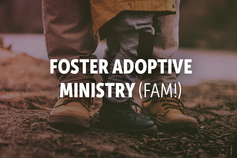 Foster/Adoptive Family Team
