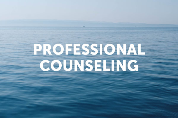 Professional Counseling