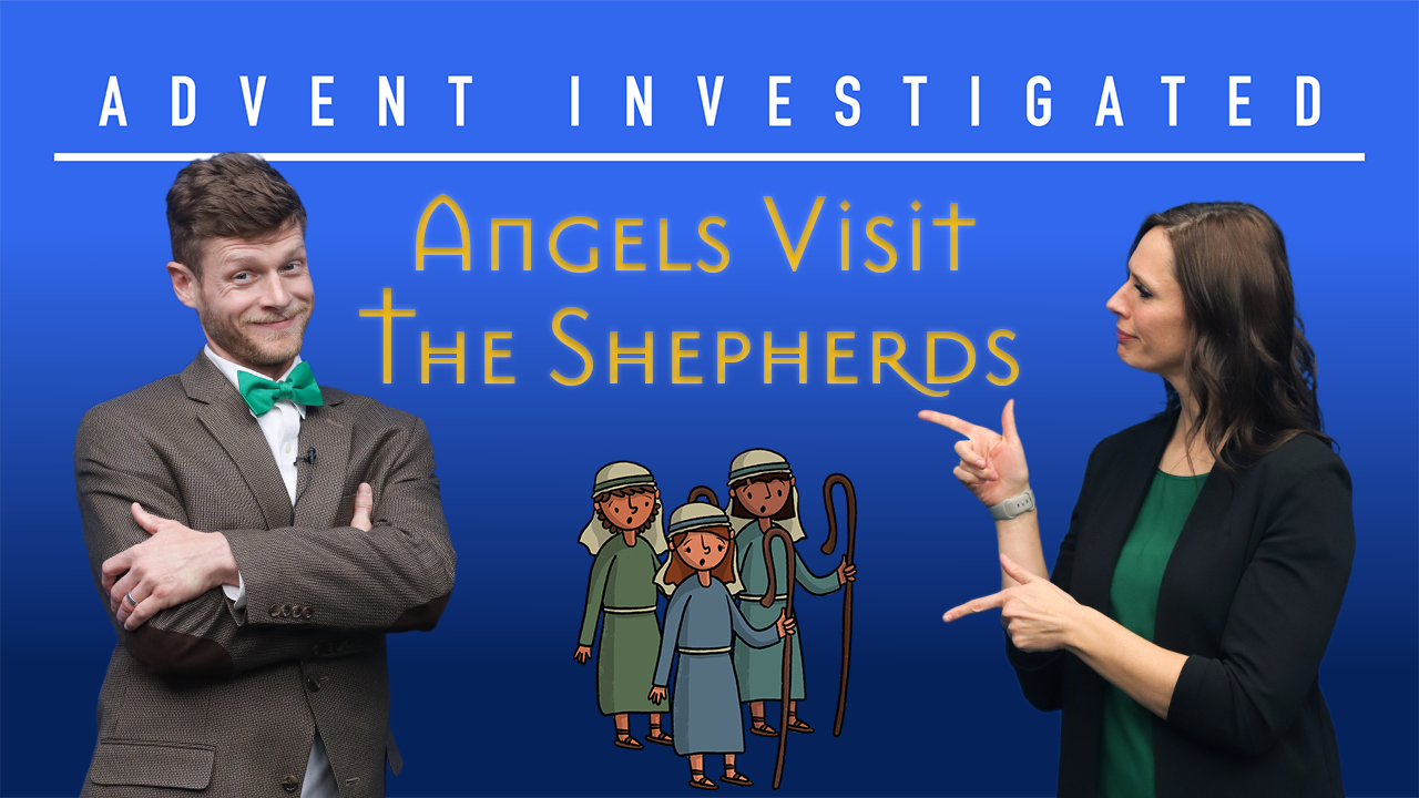 Angels Visit The Shepherds