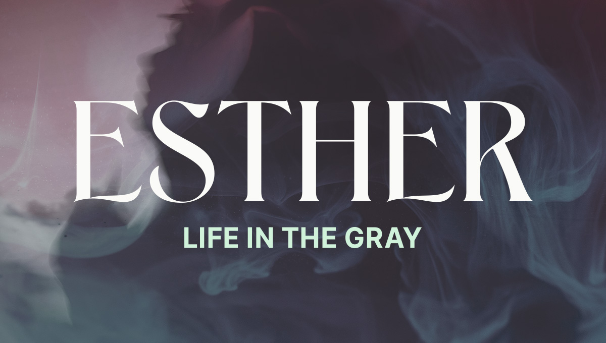 Esther: Life in the Gray Devotional Workbook