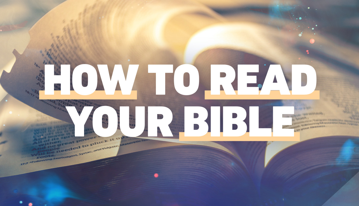 How to Read Your Bible