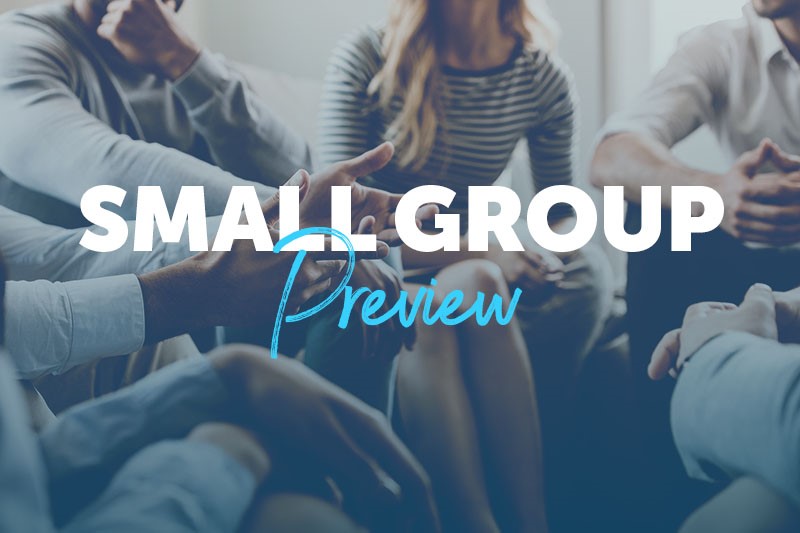 Small Group Preview