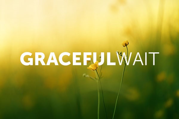 GracefulWait